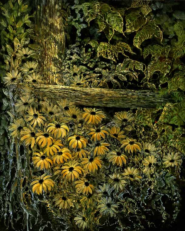 Blackeye Susans